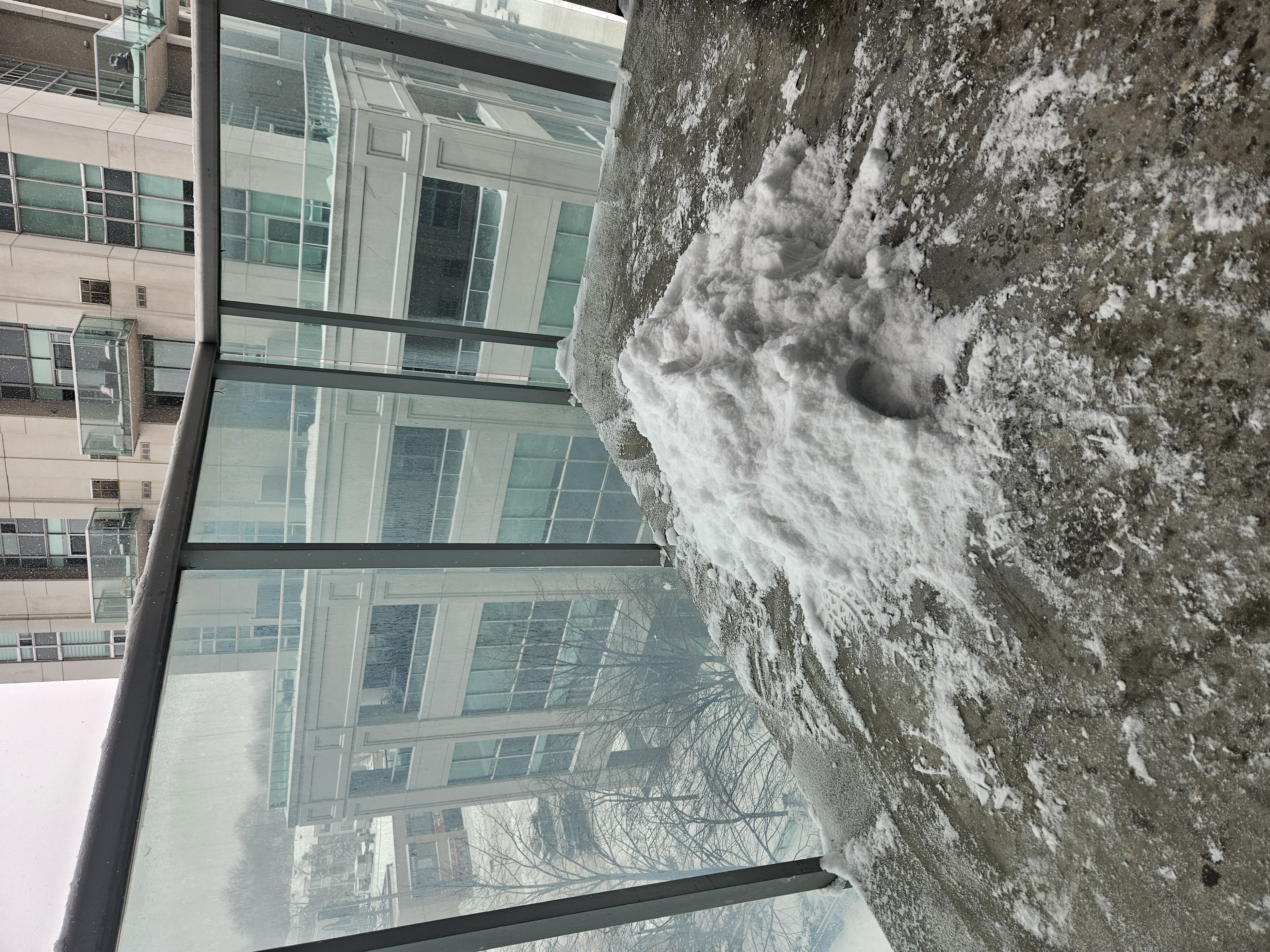 第一天失败的雪堆