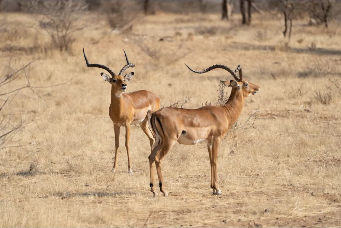 搭建静态博客05：Google Analytics和RSS